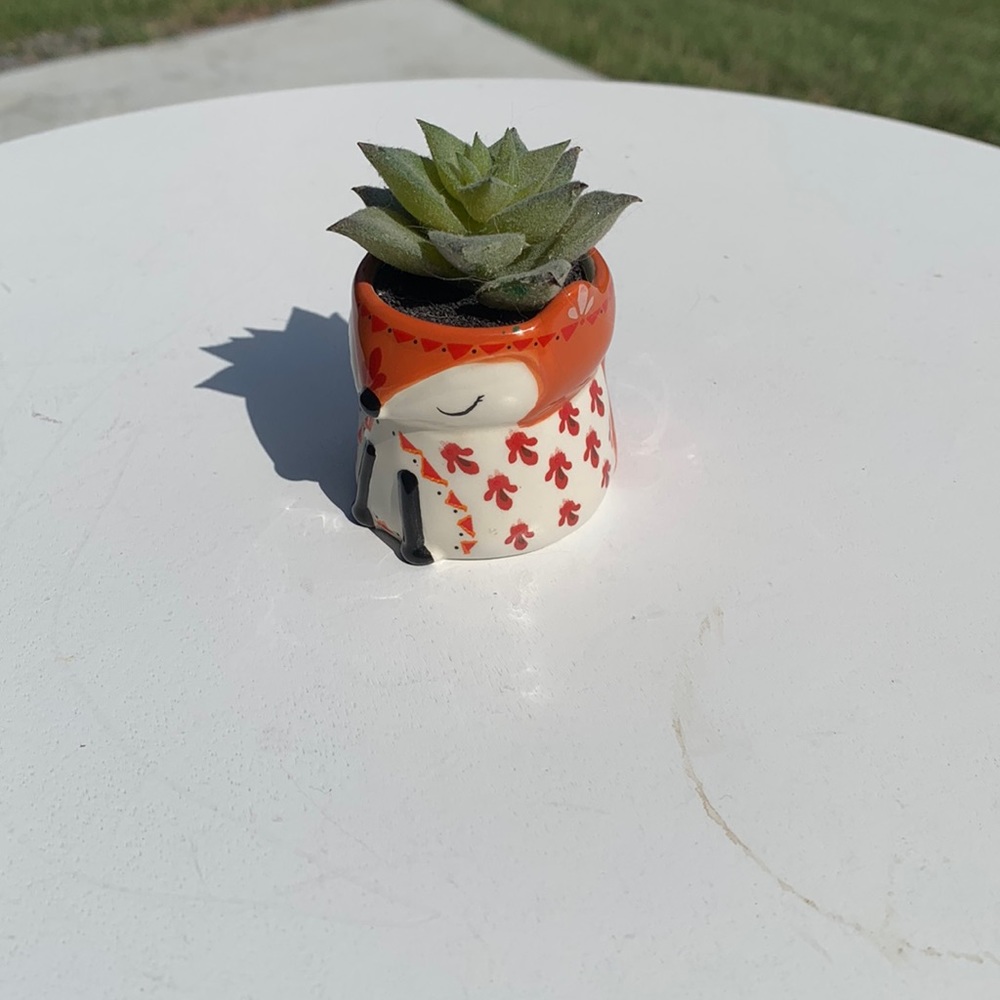 Fake Fox Planter